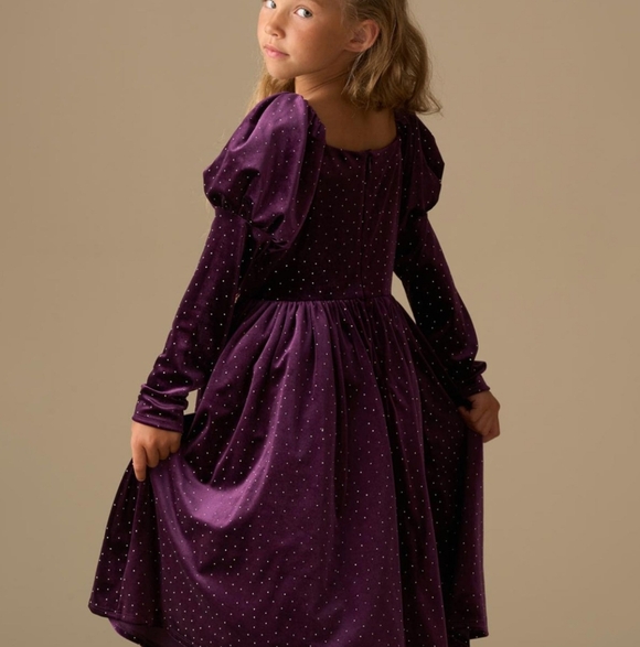 Angel & Rocket Other - Angel & Rocket Purple Velvet Diamante Studs Puff Sleeve Dress - Size 6